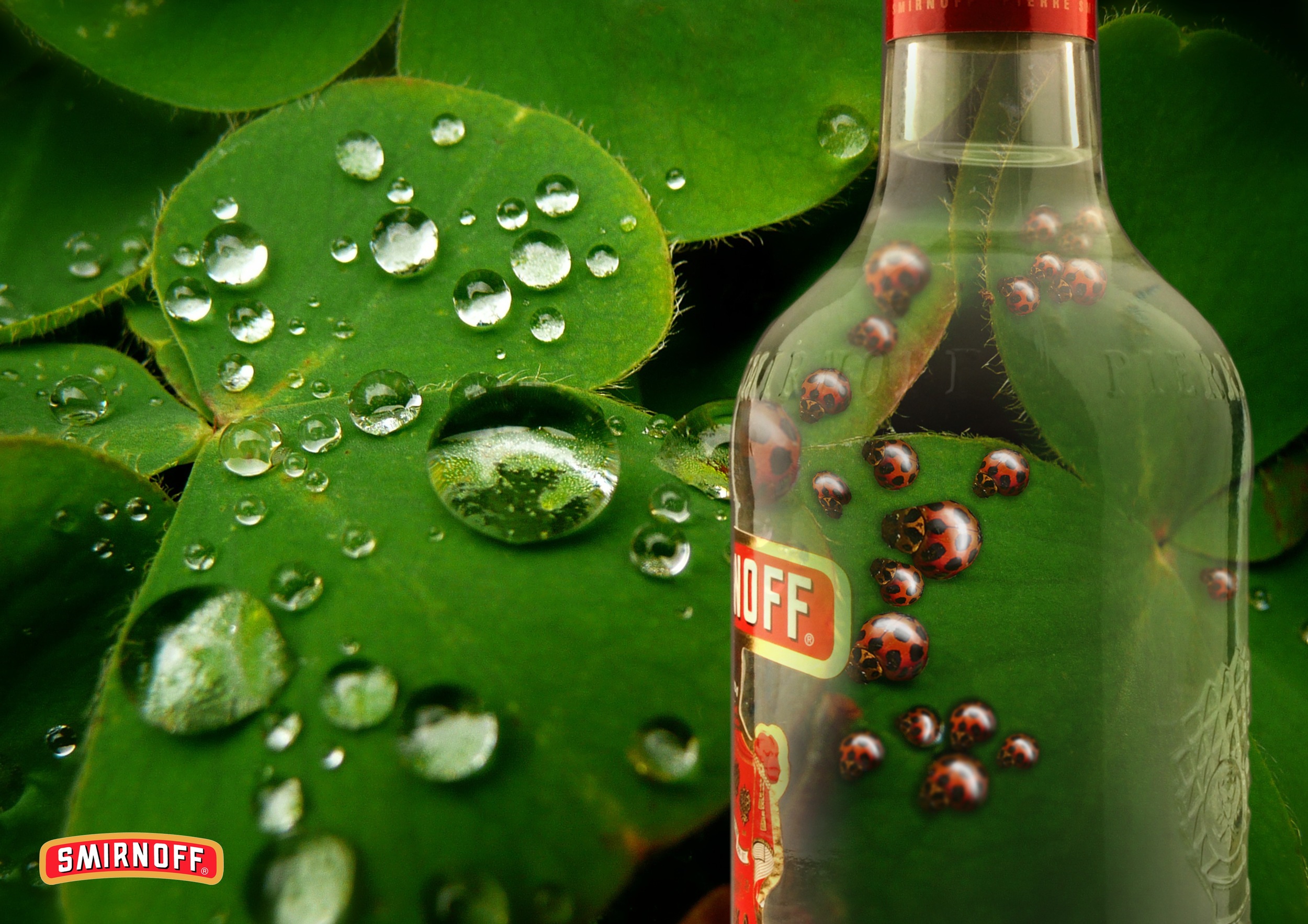  Year 1 - Our task was to mimic the Smirnoff ad concept where a greater scene was portrayed through the bottle. This ad depicts waster droplets transformed into ladybirds.&nbsp; 