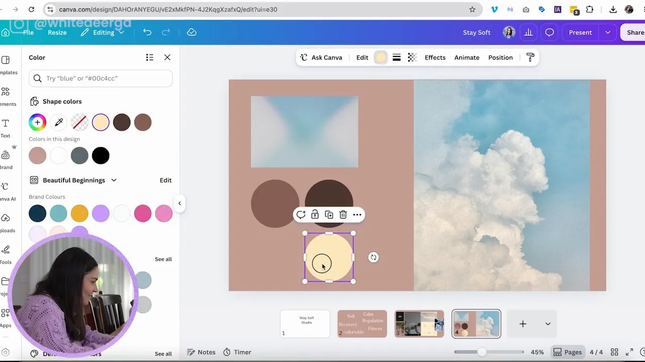 Canva mood board with circular earthy colour palette and cloud image